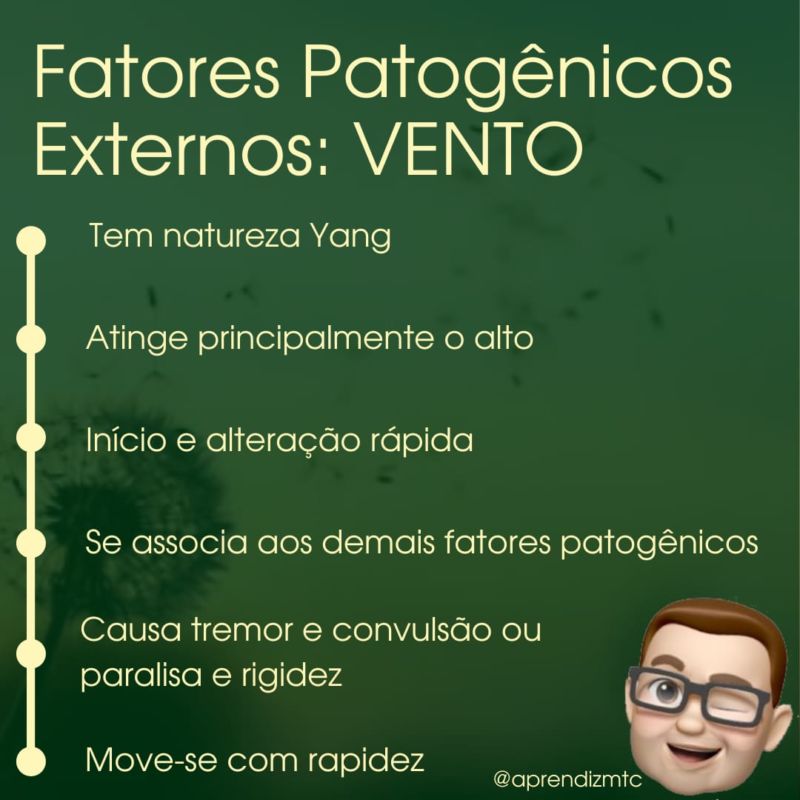 Fatores patogênicos externos VENTO Aprendiz de Medicina Chinesa