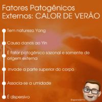 Fatores Patog Nicos Externos Calor De Ver O Aprendiz De Medicina Chinesa