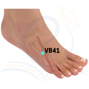 Localização do VB41: Em uma depressão na transição do corpo para a base dos 4º e 5º ossos metatarsais, lateral ao tendão do músculo extensor longo do dedo mínimo do pé.