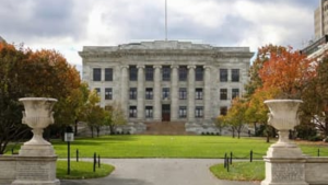 Harvard descobre base nauroanatômica da acupuntura