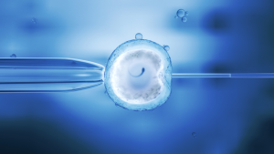 Fertilização in vitro: o protocolo de Paulus é uma combinação de pontos de acupuntura que resultou em aumento das chances de sucesso.