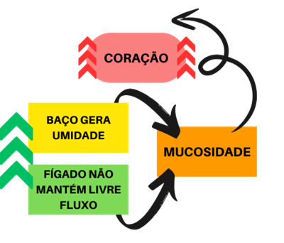 Mecanismo patológico da síndrome do caroço de ameixa