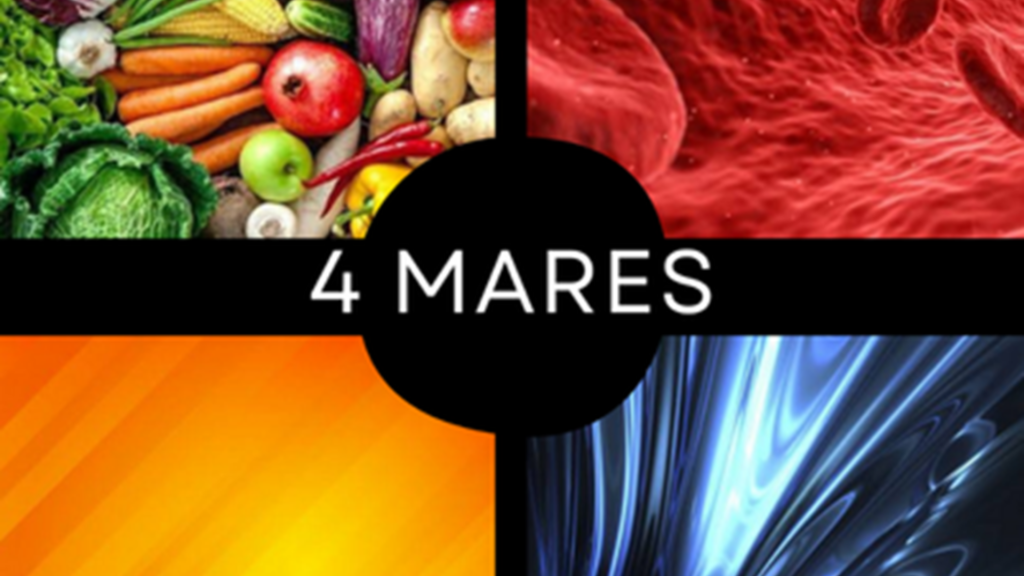 Teoria dos 4 mares na Medicina Chinesa