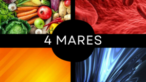 Teoria dos 4 mares na Medicina Chinesa