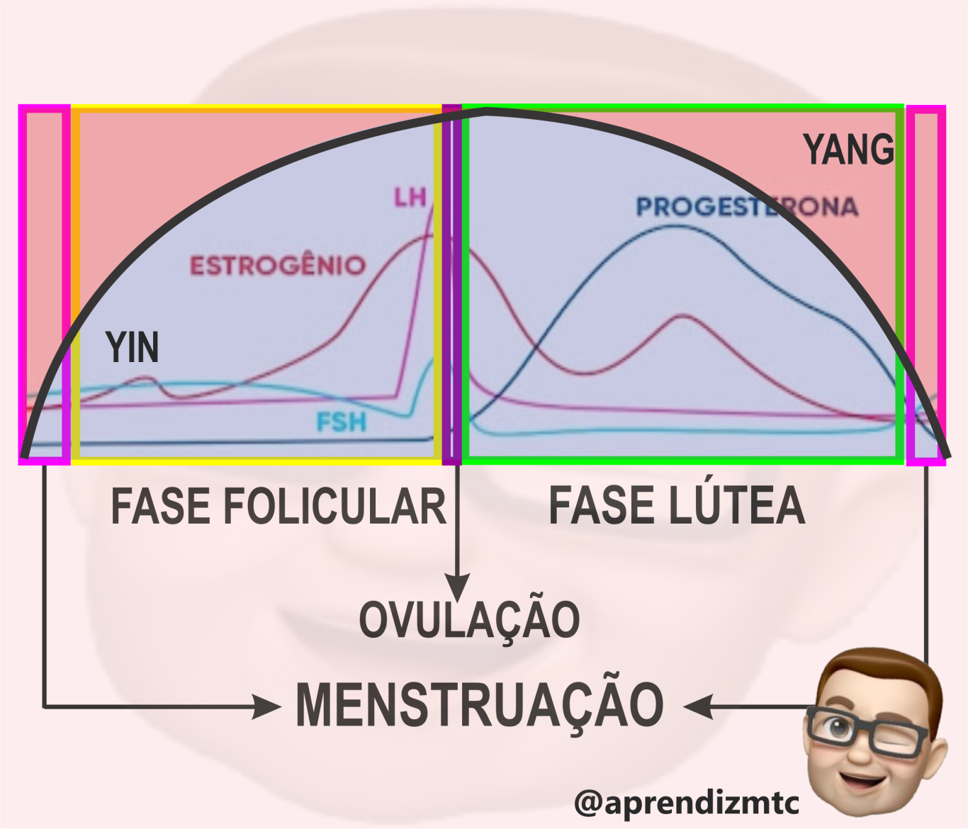 As síndromes que a Menstruação pode revelar - Aprendiz de