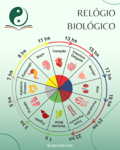 Infográfico do relógio biológico