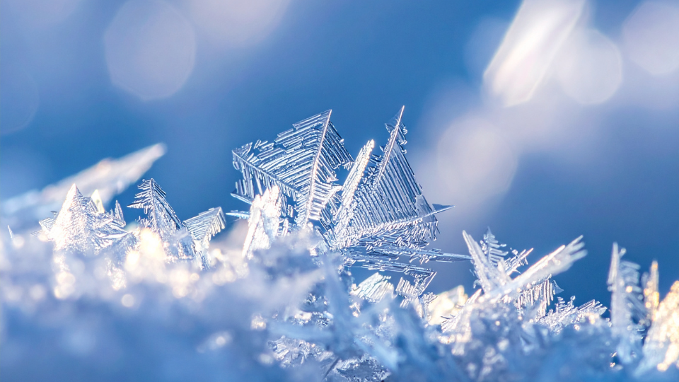 Diferenciando frio por excesso de frio por deficiência