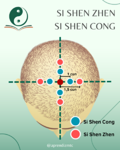 infográfico - si shen zhen e si shen cong