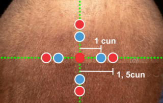 si shen zhen x si shen cong