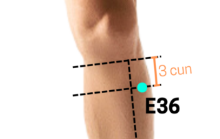 Combinações clássicas com E36 (zusanli)