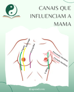 Infográfico - Canais que influenciam as mamas