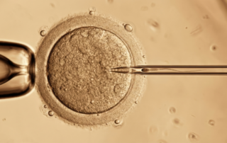 O protocolo de Paulus na reprodução assistida