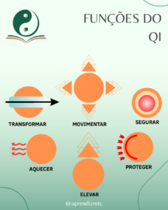 infográfico das funções do Qi