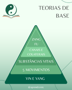 As 5 teorias de base da Medicina Chinesa