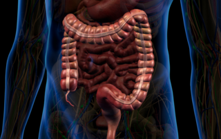 Funções do Intestino Grosso na Medicina Chinesa