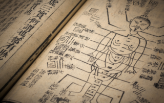 A diferença entre Medicina Chinesa e Medicina Tradicional Chinesa