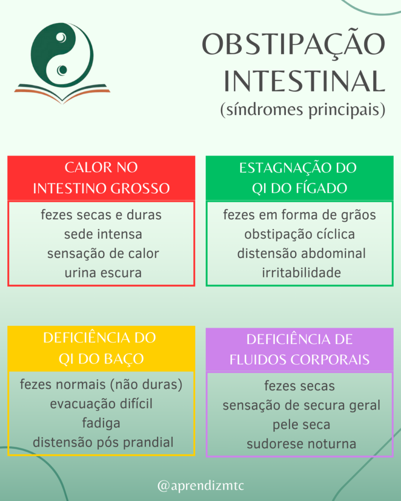 Resumo gráfico das principais síndromes relacionadas à obstipação intestinal na visão da Medicina Chinesa