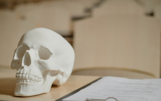 Entendendo a Medicina Chinesa como racionalidade médica