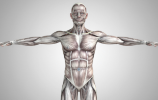 Saúde e doença na Medicina Chinesa