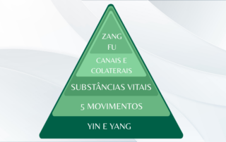 As bases que sustentam a prática clínica