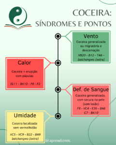 Infográfico: síndromes e pontos para o tratamento da coceira