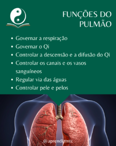 Infográfico: Funções o Pulmão na Medicina Chinesa