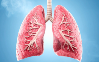 Funções do Pulmão na Medicina Chinesa