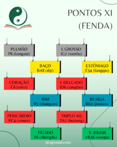 Pontos xi dos canais principais