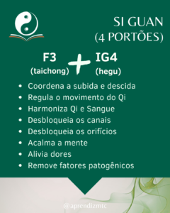 Infográfico com as funções de Si Guan (4 portões)